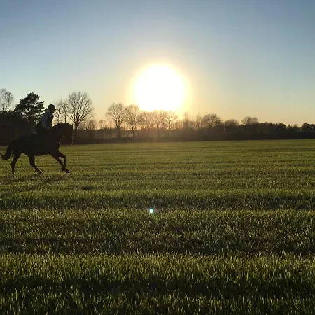 Appartamento Sueltemeier 1 *