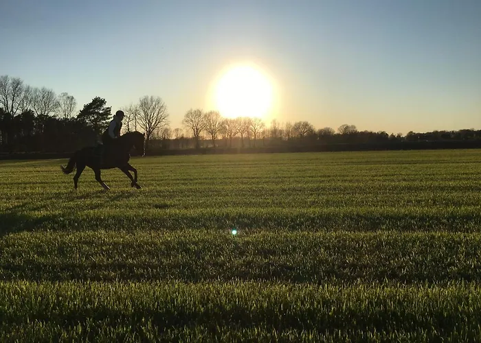 Lägenhet Sueltemeier 1 *