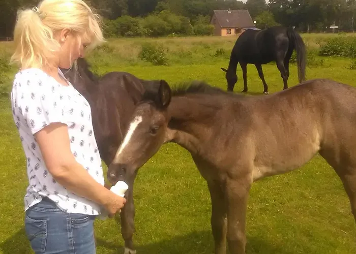 Lägenhet Sueltemeier 1 Trebel